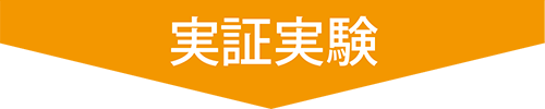 実証実験